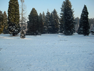 Vordenstein in de sneeuw.