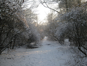 Vordenstein in de sneeuw.