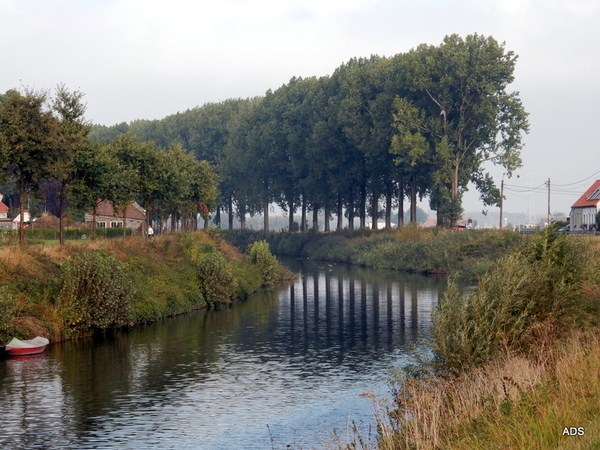 12-