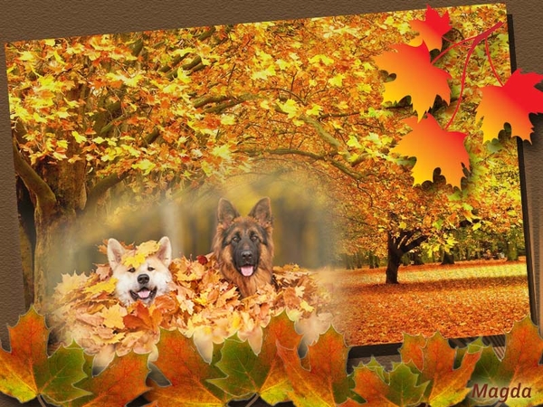 Adgamsobeilo project 58.1