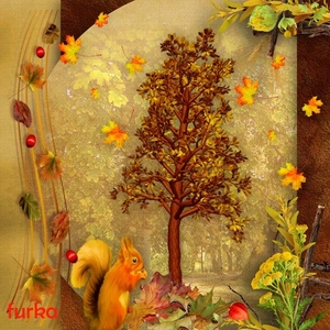 Furka project 58.2