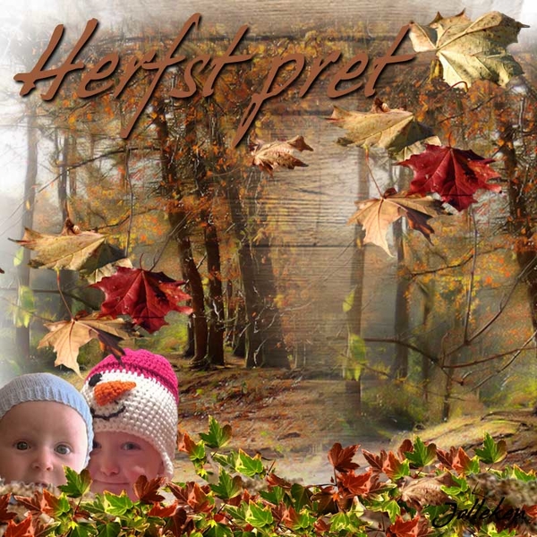 Jolleken project 58.1