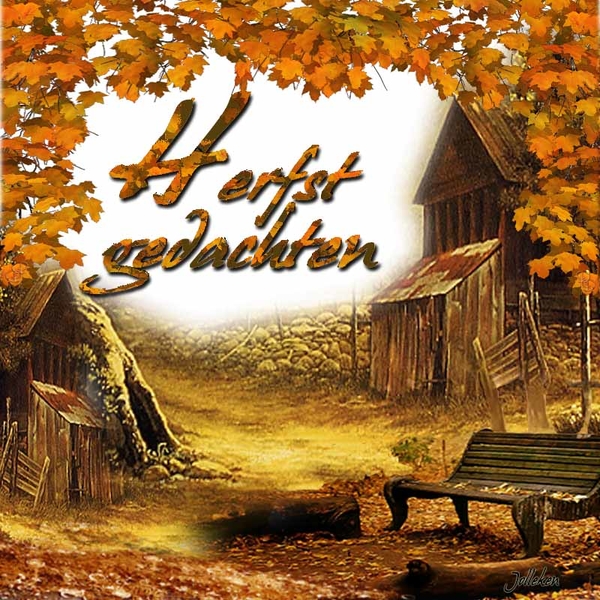 Jolleken project 58.2