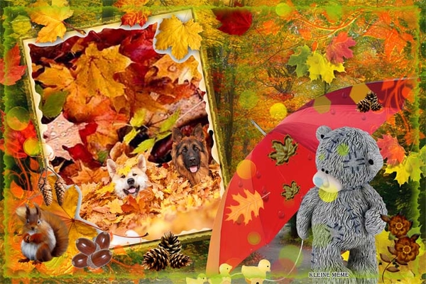 Kleine meme project 58