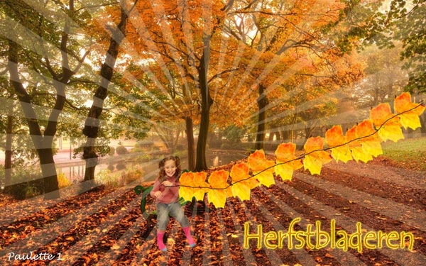 Paulette 1 project 58.1