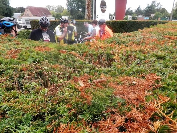 2016-09-18 Lier (36)