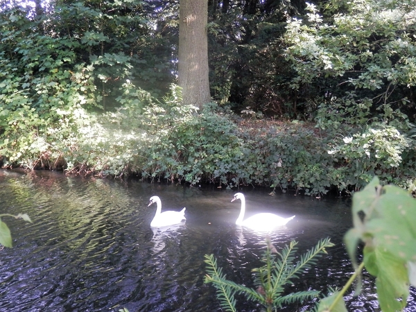 2016-09-18 Lier (61)