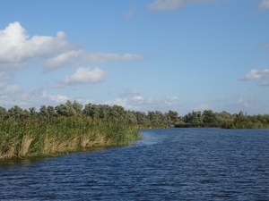 1A Biesbosch museum,rondvaart _DSC00026