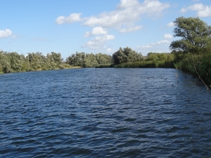 1A Biesbosch museum,rondvaart _DSC00029