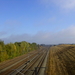 DSCI0011