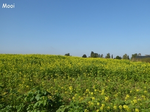 27. Verder gaat de wandeling over landelijke wegen en een natuurg