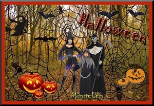 Minneken project 60.1