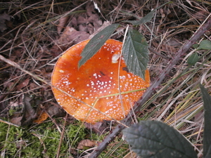 PA290027