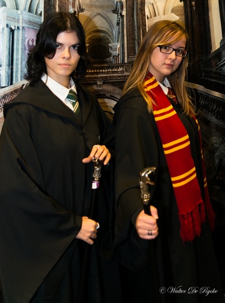 Facts 2016-2DSC_1821-2 (130 van 288)