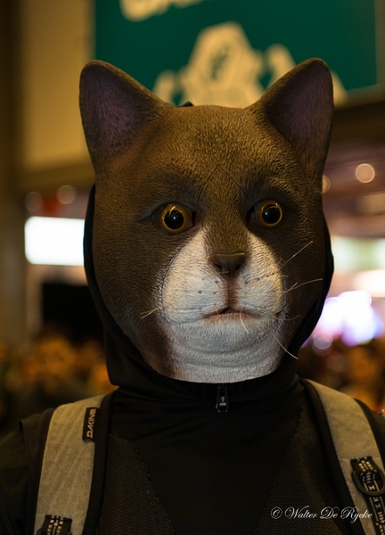 Facts 2016-2DSC_1930-2 (210 van 288)