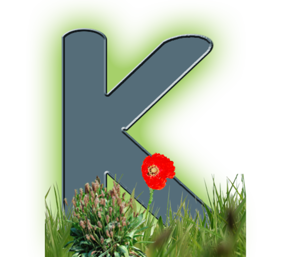 Rikkie 3 K project 61.2