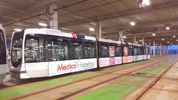 2022  MEDICA ESTETICA (2016)
