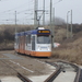 3139(Rabobank VII)-01, Scheveningen 01.01.2017 Zwarte Pad