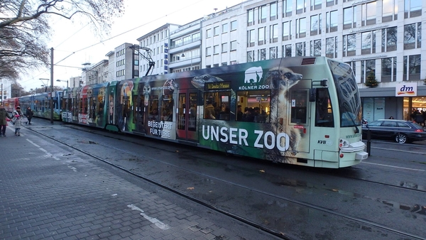 4063 - Kölner Zoo - 08.12.2017 Koln-2