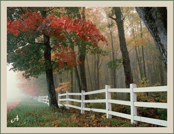 mist2