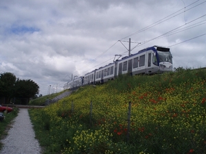 Randstadrail tussen Javalaan en halte Seghwaert. 27-06-2006