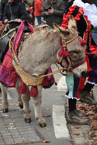 Roeselare-Sinterklaas Aankomst 12-10-2016