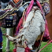 Roeselare-Sinterklaas Aankomst 12-10-2016