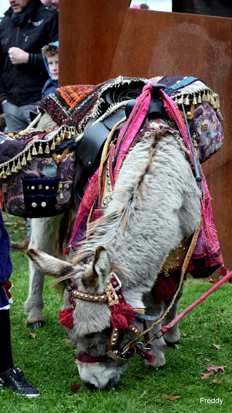 Roeselare-Sinterklaas Aankomst 12-10-2016