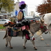 Roeselare-Sinterklaas Aankomst 12-10-2016