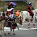 Roeselare-Sinterklaas Aankomst 12-10-2016