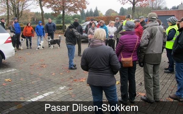 11 novemberwandeling 2016