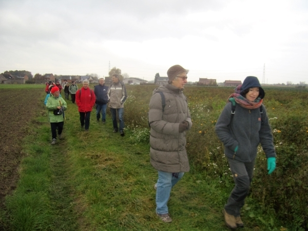 2016-11-11 KKT VWO-wandeldag (4)