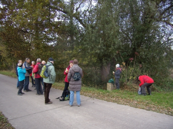 2016-11-11 KKT VWO-wandeldag (5)