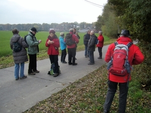 2016-11-11 KKT VWO-wandeldag (6)