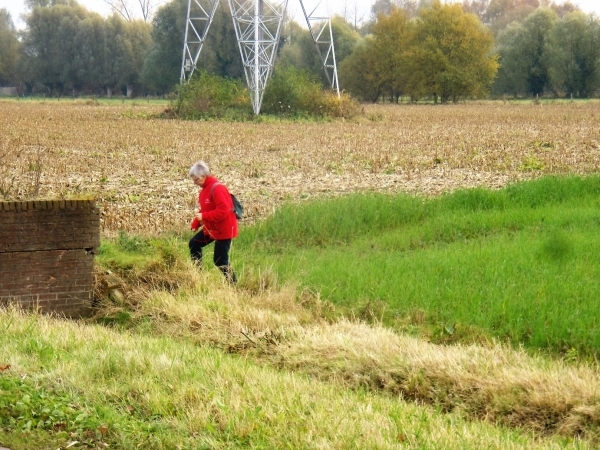 2016-11-11 KKT VWO-wandeldag (7)