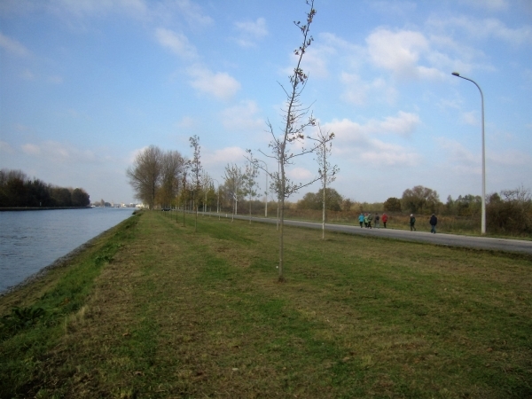 2016-11-11 KKT VWO-wandeldag (16)