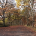 DSCF0794