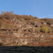 DSCF0839