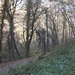 DSCF0842