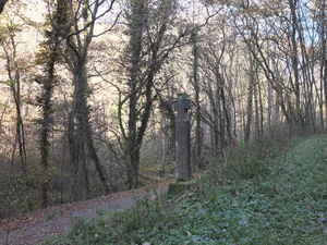 DSCF0842