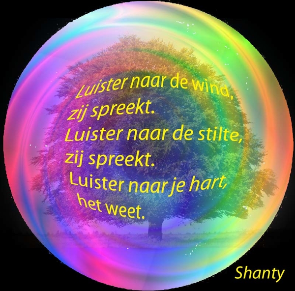 Shanty project 63.1
