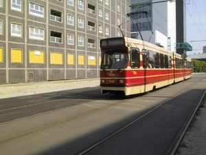 3140 Schedeldoekshaven