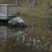 Natuur (3)