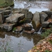 Natuur (24)
