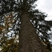 Natuur (32)