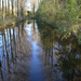Natuur (33)