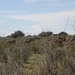 2  Kalahari _DSC00058