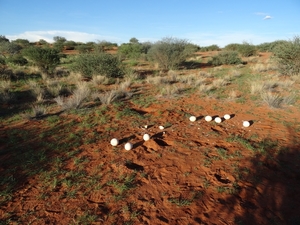 2  Kalahari, sunset safari _DSC00096