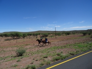 3A Namib woestijn _DSC00121