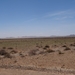 3C Namib woestijn _DSC00174